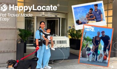 Moving Abroad From India With Your Pet: Is It Safe or Should You Find Them a New Home?